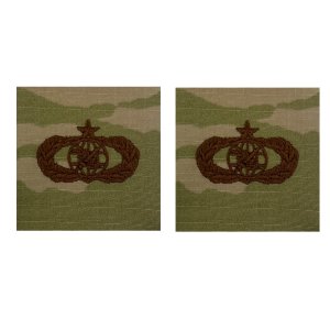 Air Force Embroidered Badge: Foreign Area Officer Career Field, Senior embroidered on OCP