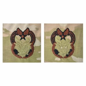 Air Force Embroidered Badge: Inspector General, embroidered on OCP sew on