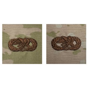 Air Force Embroidered Badge: Logistics Readiness, OCP