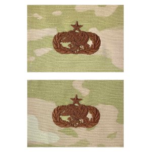 Air Force Embroidered Badge: Logistics Readiness: Senior, embroidered on OCP