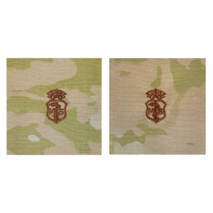 Air Force Embroidered Badge: Medical Service: Chief, embroidered on OCP