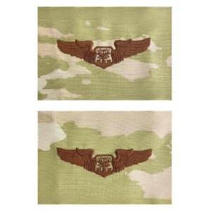 Air Force Embroidered Badge: Navigator, OCP