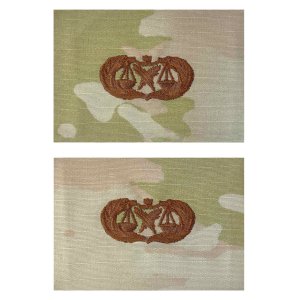 Air Force Embroidered Badge: Paralegal, OCP