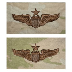 Air Force Embroidered Badge: Pilot: Senior, embroidered on OCP