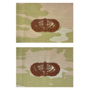 Air Force Embroidered Badge: Services, OCP