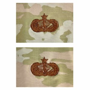 Air Force Embroidered Badge: Services: Senior, embroidered on OCP