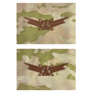 Air Force Embroidered Badge: Space Basic, OCP