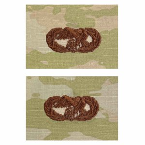 Air Force Embroidered Badge: Transportation Basic, OCP