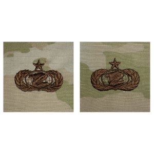 Air Force Embroidered Badge:Administration: Senior, embroidered on OCP