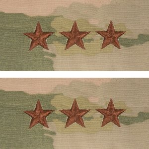 Air Force Embroidered OCP Sew On Officer Rank Cap Device: Lieutenant General