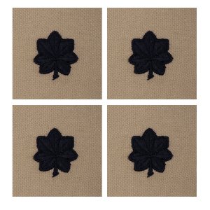 Air Force Embroidered Rank: Lieutenant Colonel, Desert Sand