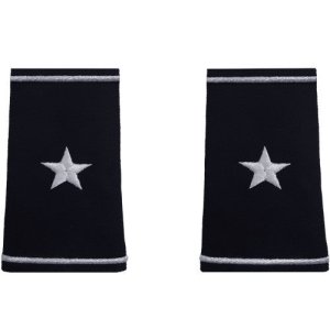 Air Force Epaulet: Brigadier General, female