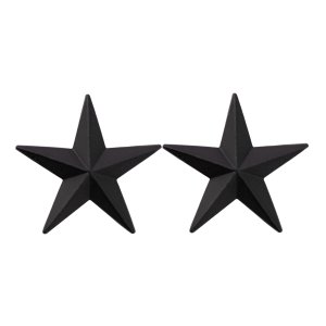 Air Force General Stars: Brigadier General, black metal