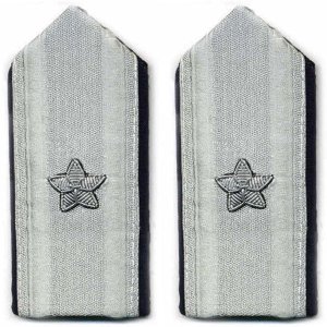 Air Force Mess Dress Shoulder Board: Brigadier General, female