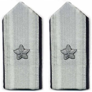 Air Force Mess Dress Shoulder Board: Brigadier General