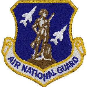 Air Force Patch: Air National Guard, color with Hook closure