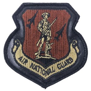 Air Force Patch: Air National Guard Command, OCP with Leather and hook