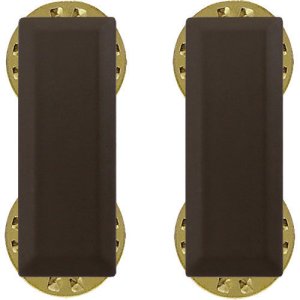 Air Force Rank: Second Lieutenant, subdued brown metal