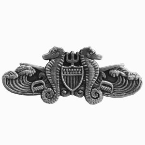 Coast Guard Badge: Enlisted Port Security, miniature