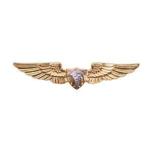 Coast Guard Badge: Flight Surgeon, miniature