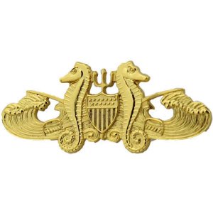 Coast Guard Badge: Officer Port Security, regulation size