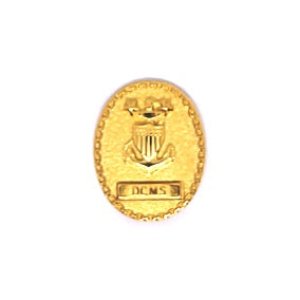Coast Guard Badge: Senior Enlisted Advisor E9 Command DCMS, miniature