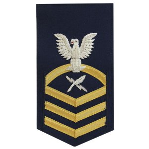 Coast Guard E7 Male Rating Badge: Intelligence Specialist, blue
