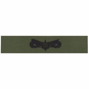 Coast Guard Embroidered Badge: Boat Force Operator, subdued