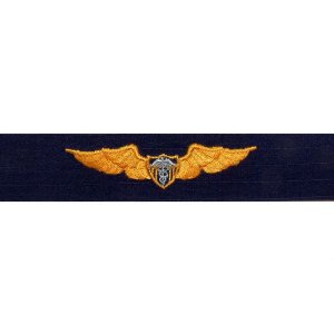 Coast Guard Embroidered Badge: Flight Surgeon, Ripstop fabric
