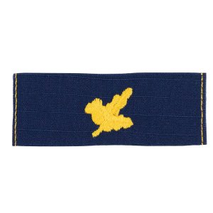 Coast Guard Embroidered Collar Device: Finance and Supply, Ripstop fabric