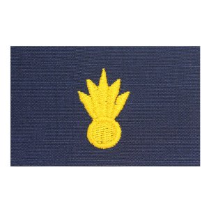 Coast Guard Embroidered Collar Device: Weapons, Ripstop fabric