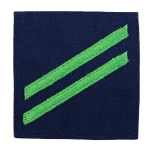 Coast Guard Ratting Badge: Group Rate E2 Airman, blue serge