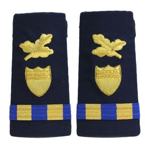 Coast Guard Shoulder Board: Enhanced Warrant Officer 2 Finance and Supply
