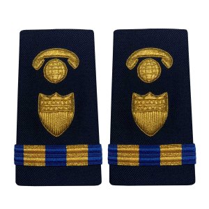 Coast Guard Shoulder Board: Enhanced Warrant Officer 2 Information Systems Mgmt, Female