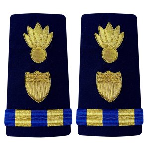 Coast Guard Shoulder Board: Enhanced Warrant Officer 2 Weapons, Female