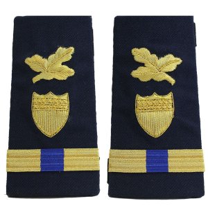 Coast Guard Shoulder Board: Enhanced Warrant Officer 4 Finance and Supply