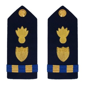 Coast Guard Shoulder Board: Warrant Officer 2 Weapons