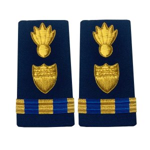 Coast Guard Shoulder Board: Warrant Officer 3 Weapons, Female