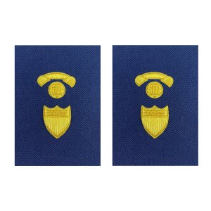 Coast Guard Sleeve Device: Serge Warrant Officer Information System Management