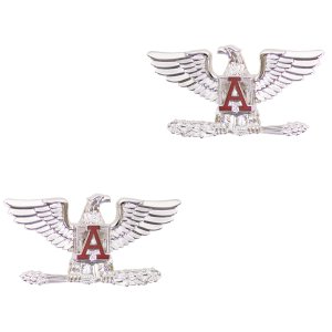 Coast Guard Auxiliary Coat Device: National Executive Assistant/Department Director