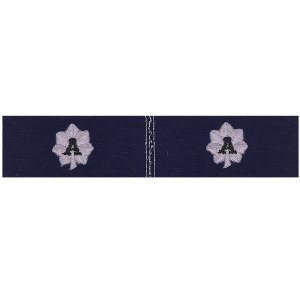 Coast Guard Auxiliary Collar Device: DCDR, Ripstop fabric