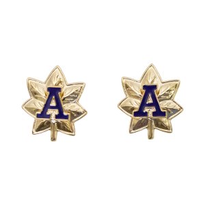 Coast Guard Auxiliary Collar Device: Division Vice Commander