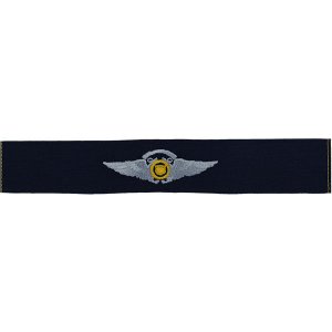 Coast Guard Auxiliary Embroidered Badge: Air Crew Wings, Ripstop fabric