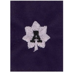 Coast Guard Auxiliary Jacket Tab: DCDR