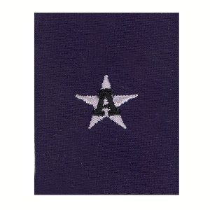 Coast Guard Auxiliary Jacket Tab: DCO
