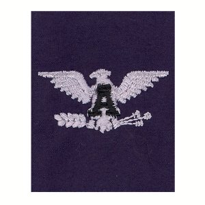 Coast Guard Auxiliary Jacket Tab: VCO/RCO