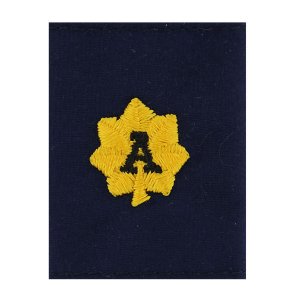 Coast Guard Auxiliary Jacket Tab: VCP