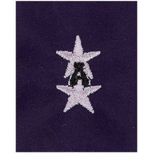 Coast Guard Auxiliary Jacket Tab: VNACO and DNACO
