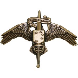 Marine Corps Badge: MARSOC Bronze Forces Special Operations Command