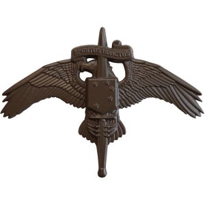 Marine Corps Badge: MARSOC Subdued Metal Forces Special Operations Command